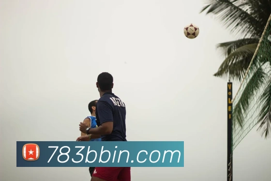 bbin宝盈平台生态图